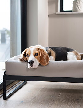 Bia Air - benställning till Bia