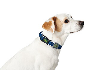 HUNTER Hilo Vario Basic halsband blå