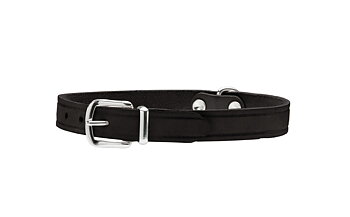 HUNTER Aalborg halsband svart