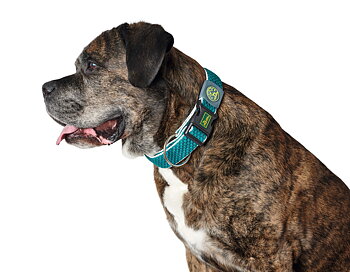 HUNTER Hilo Vario Plus halsband turkos