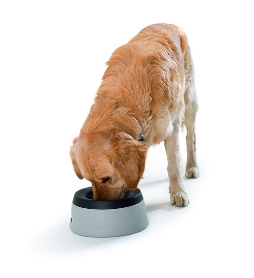 Hunter Travel Bowl Road 1,4L - 3