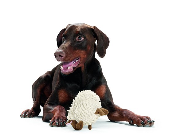 HUNTER Dog Toy Får vitt - 2