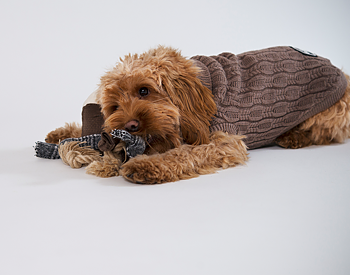 Gustaf & Evita Hundleksaker 