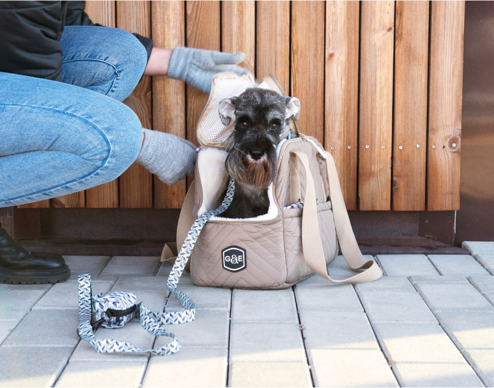 Gustaf & Evita  Hundhalsband, hundselar & hundkläder