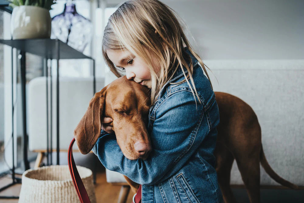 Nyheter!  Se alla våra senaste produkter