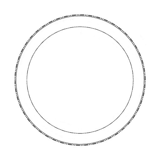 Model 24 stainless steel ring only (compression gasket)