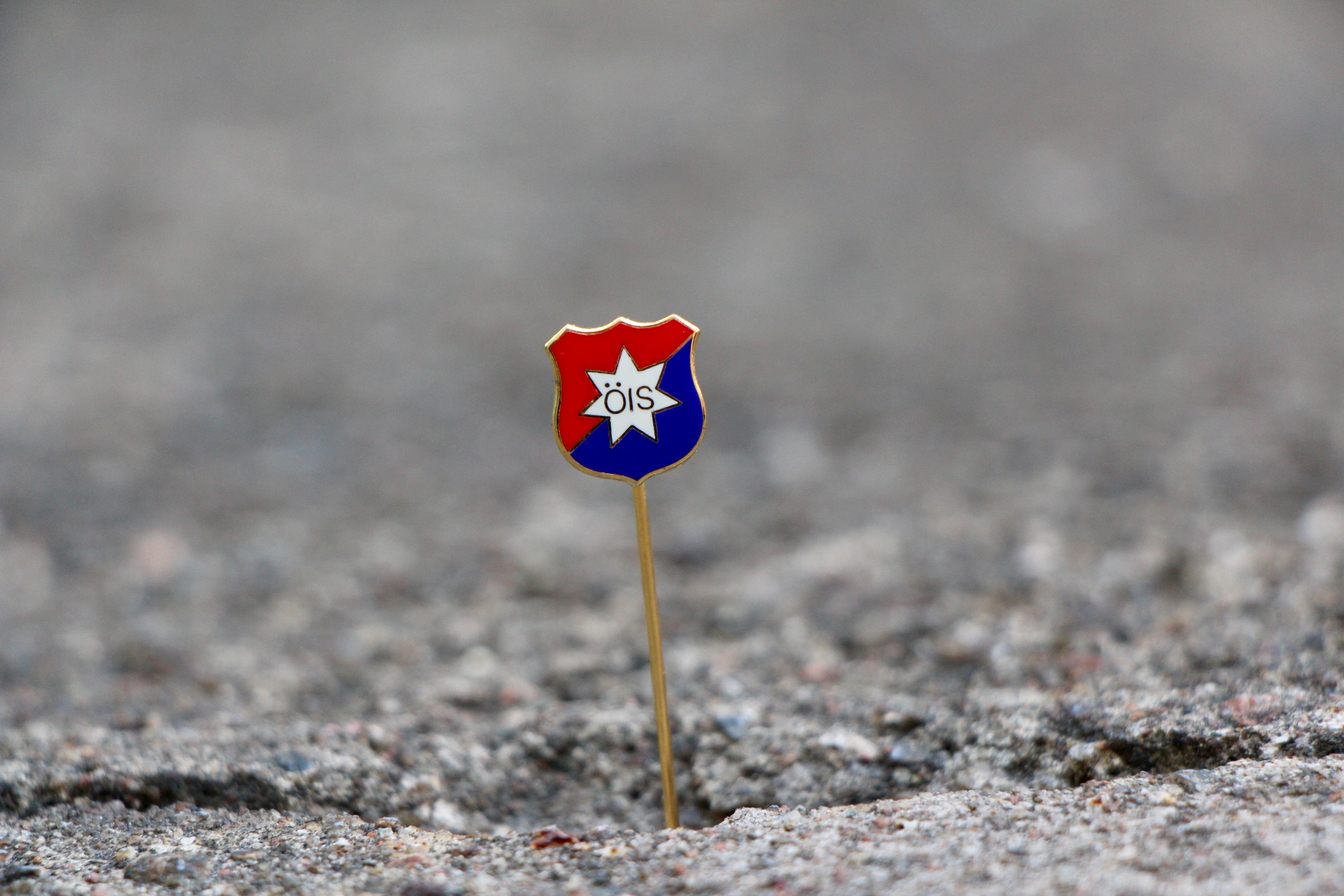ÖIS pin
