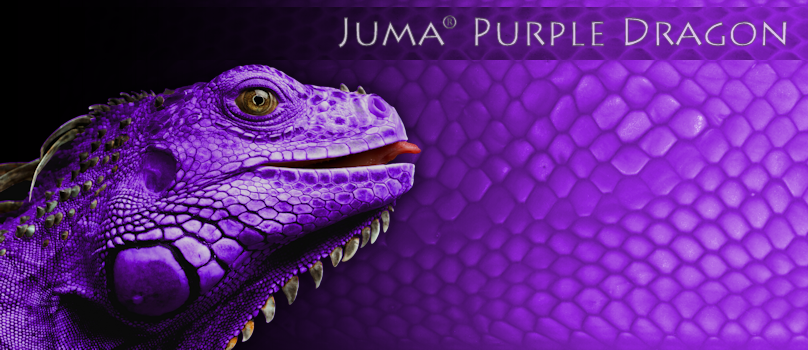 Juma Purple Dragon skala - 2