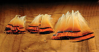 Guldfasan Tippets