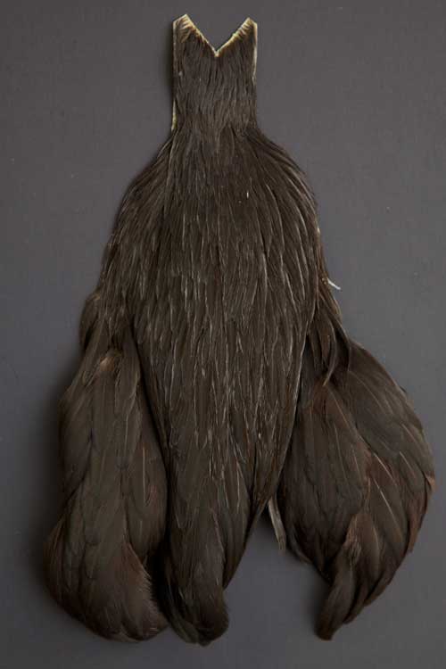 Whiting Hen Cape - 2
