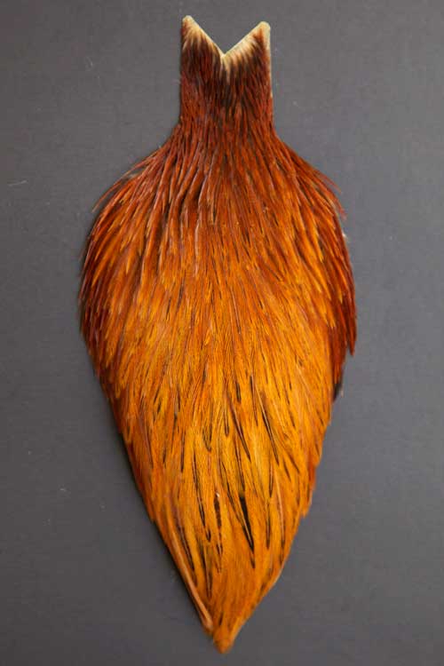 Whiting Hen Cape - 3