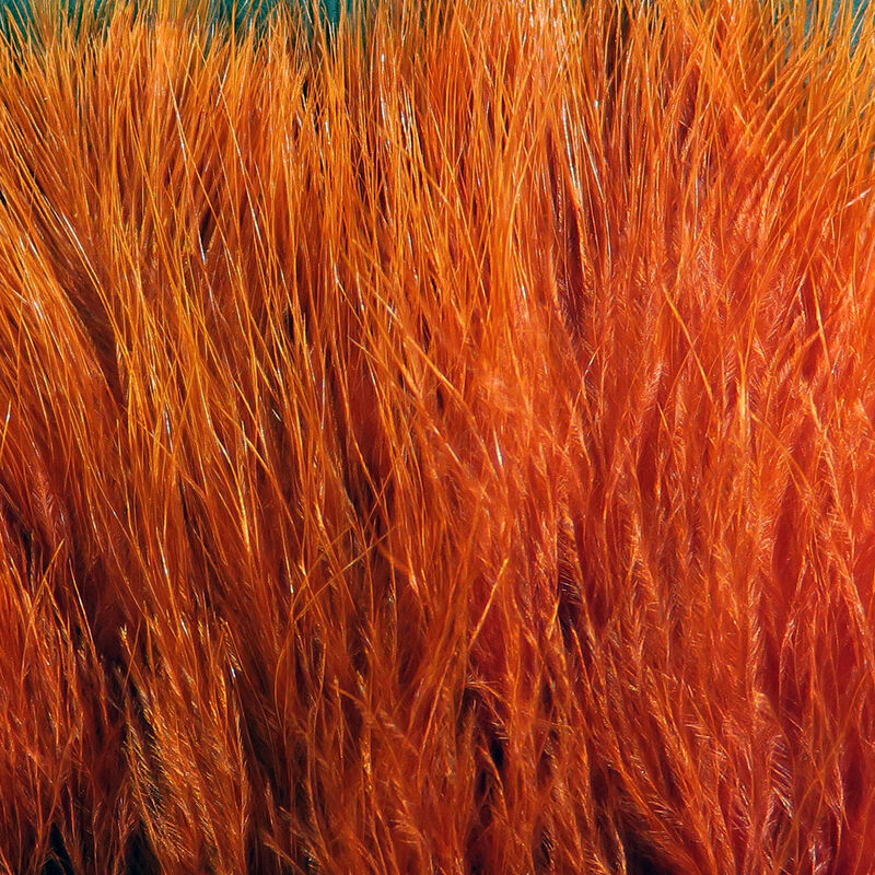 X-Select Marabou - 3