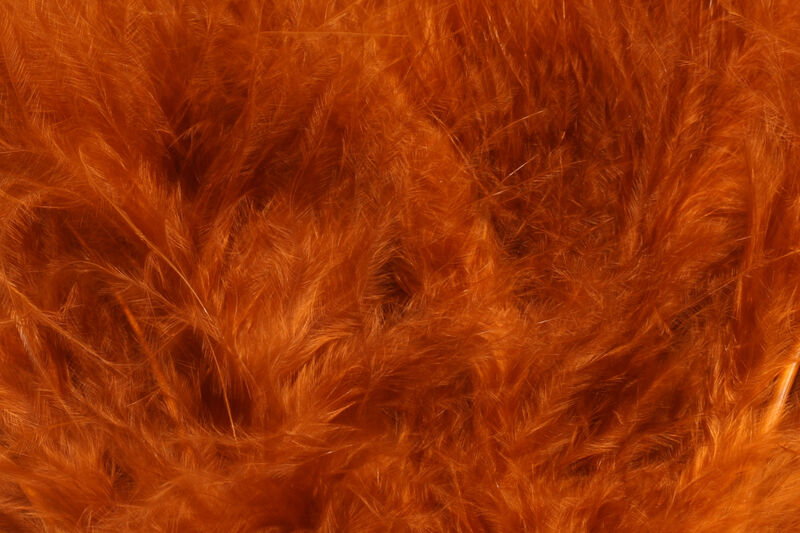 X-Select Marabou - 27