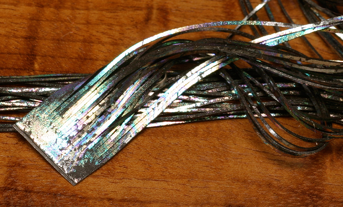 Barred Rainbow Shimmer Legs