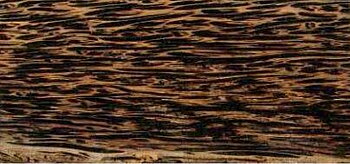 Black Palmira