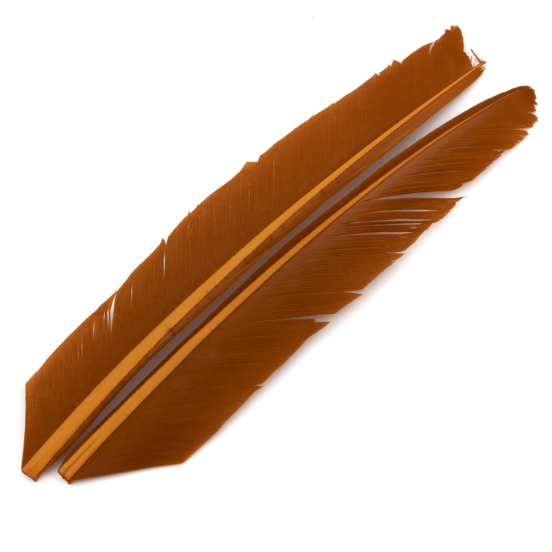 Contiflies Turkey Biot Quill - 9