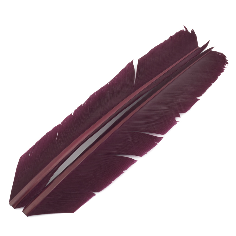 Contiflies Turkey Biot Quill - 3