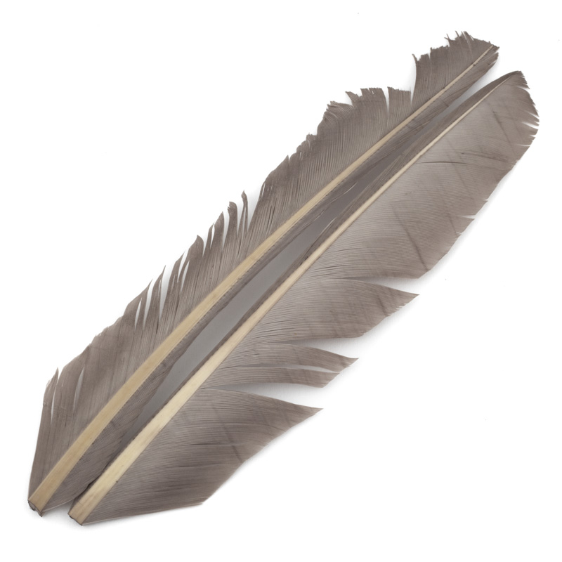 Contiflies Turkey Biot Quill - 7