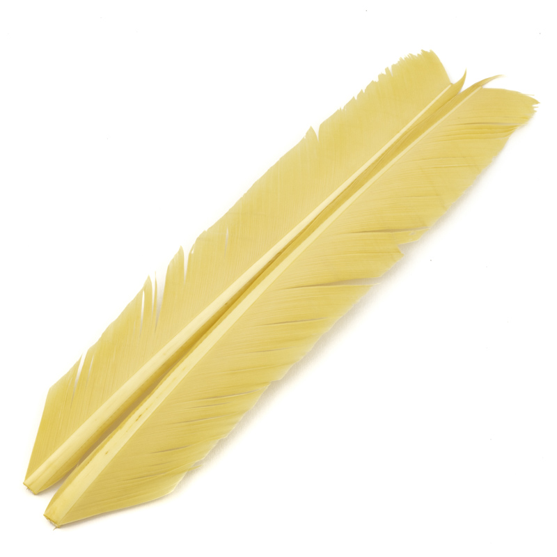 Contiflies Turkey Biot Quill - 5