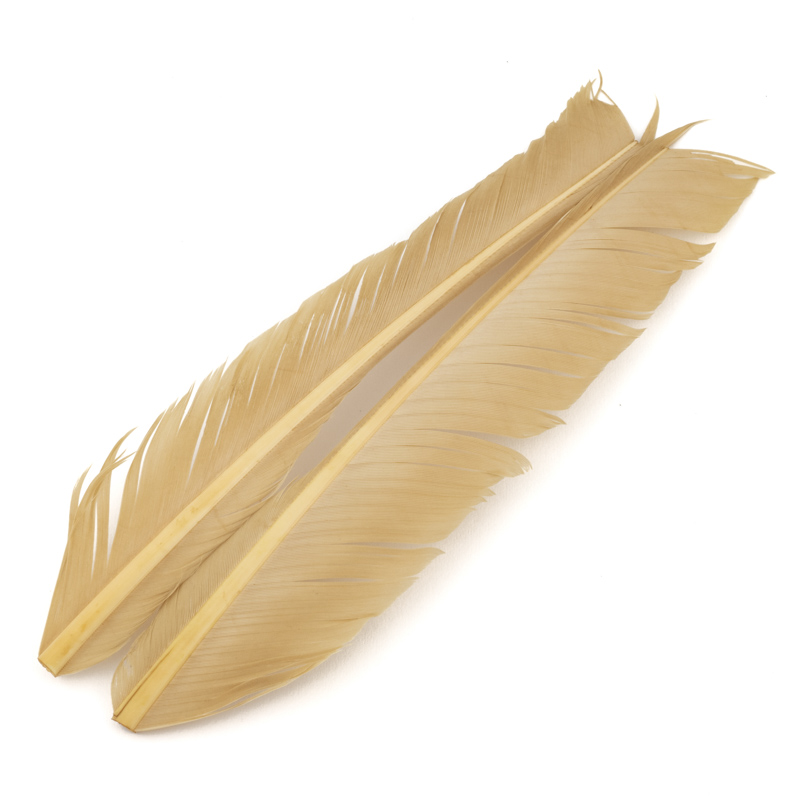 Contiflies Turkey Biot Quill - 11