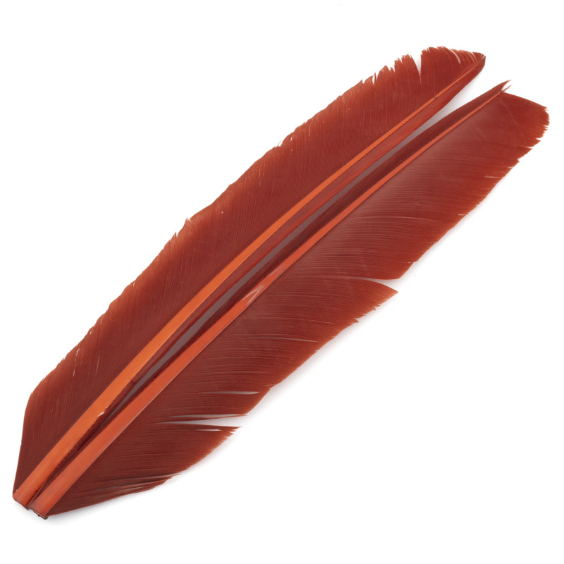 Contiflies Turkey Biot Quill - 10