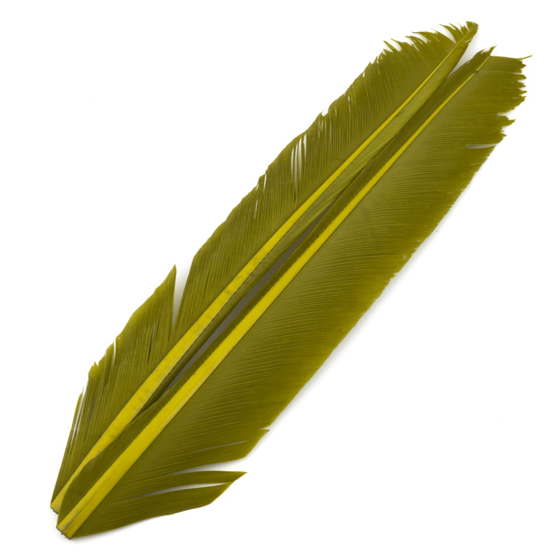 Contiflies Turkey Biot Quill - 4