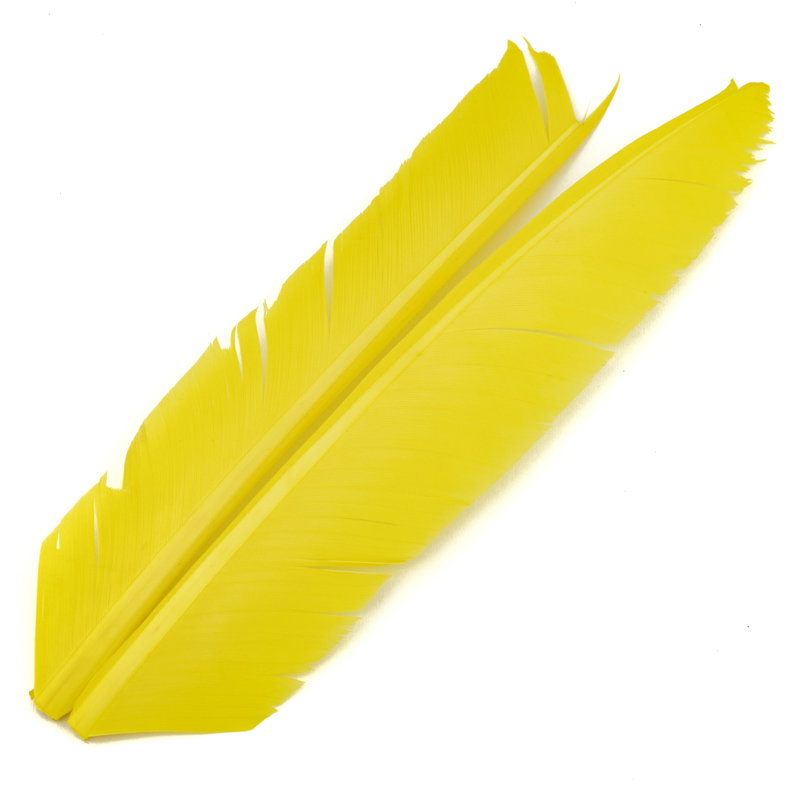 Contiflies Turkey Biot Quill - 8