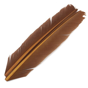 Contiflies Turkey Biot Quill