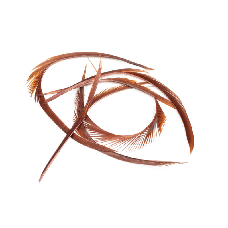 Contiflies Goose Biots - 2