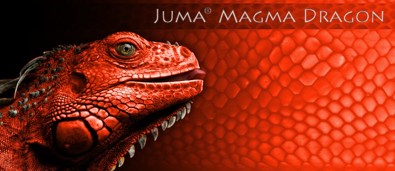 Juma Magma Dragon skala - 2
