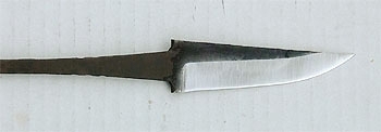 Lauri R Whittler PT80