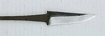 Lauri R Whittler PT80