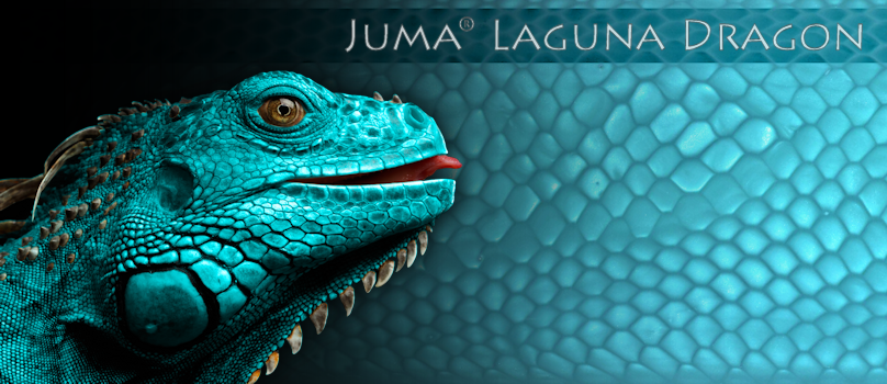 Juma Laguna Dragon skala - 2