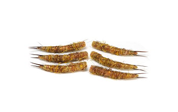 X-Flies Stonefly Body Medium
