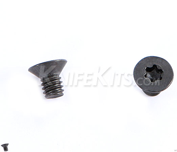 Skruv 6,3 mm för kydexmontage - försänkt huvud Torx 10-pack