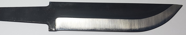 Lauri R C120