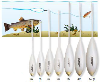 Darts Bomba Trout Slow sink