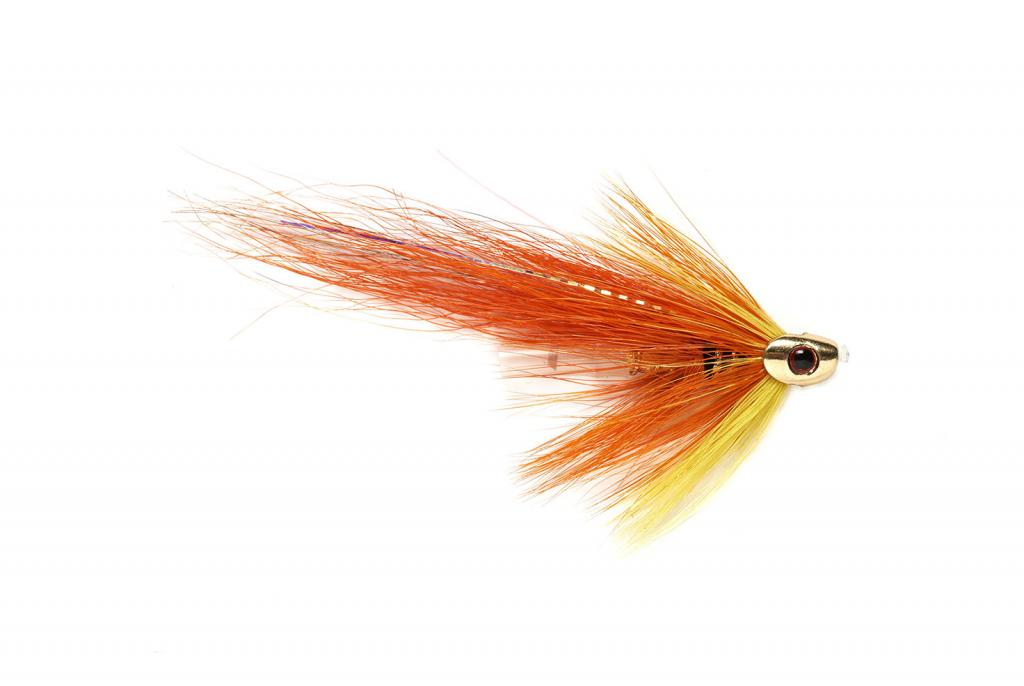 Flaming Golden Skullhead