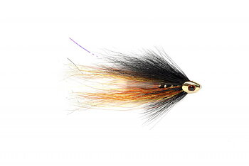 Willie Gunn Skullhead Gold