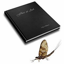 Flies As Art - Paul Whillock
