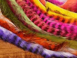 Rabbit Barred Strips