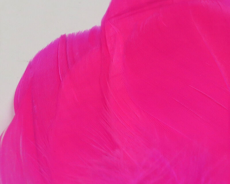 Select Goose Shoulder - 4