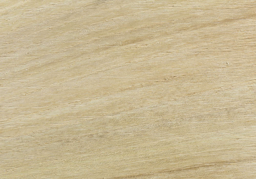 Robinia - Large - 2