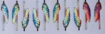 FisHeadz Anchovy
