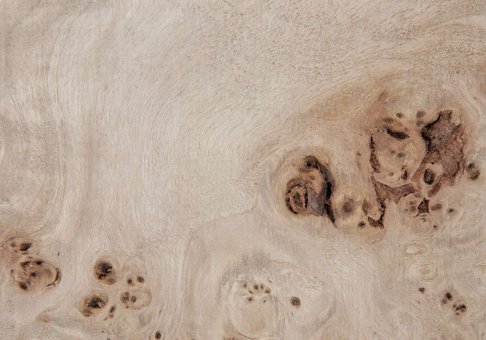 Poppel burl - 3