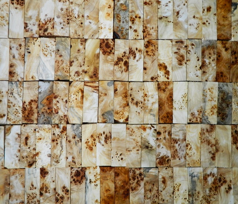 Poppel burl - 2