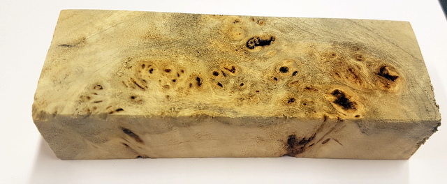 Poppel burl