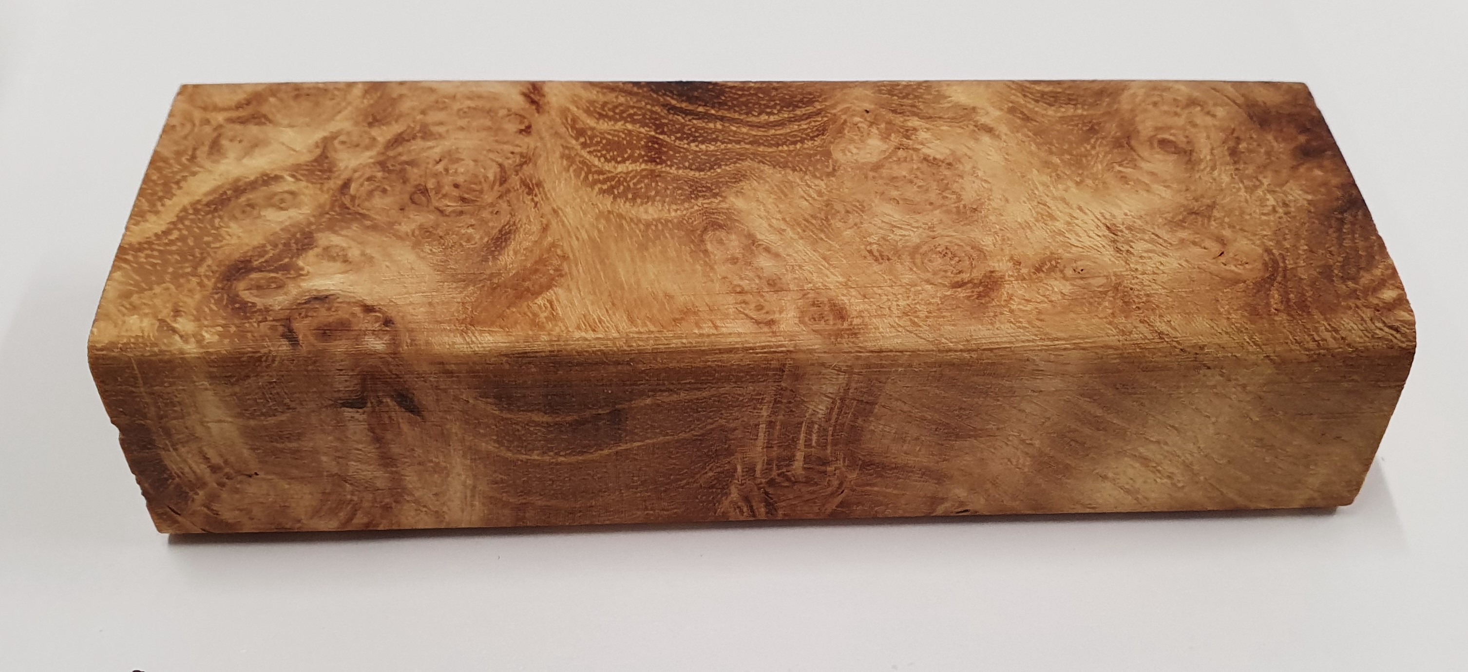Black Locust Burl
