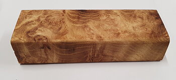 Black Locust Burl