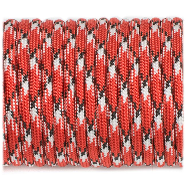 Paracord 550 - Raptor
